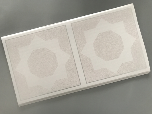 Acht - Gerichte Ster Decoratieve Bekledingspanelen, Decoratieve Muurcomités voor Keuken