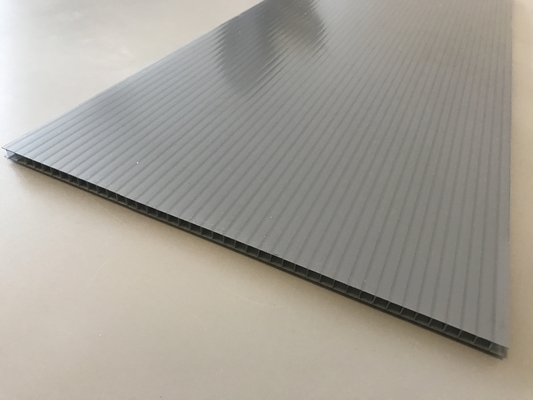 /Makrolon-Polycarbonaatblad, de Tweelingcomités van het Muurpolycarbonaat