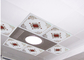 Economical Moisture Proof Ceiling Tiles For Drop Ceiling 2.35 Kg/M2