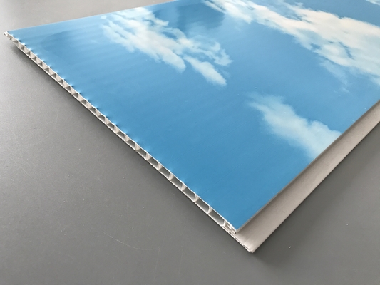 Heet Stempelend 250 × 7mm Comités van Plafondpvc met Blauwe Hemel en Witte Wolken