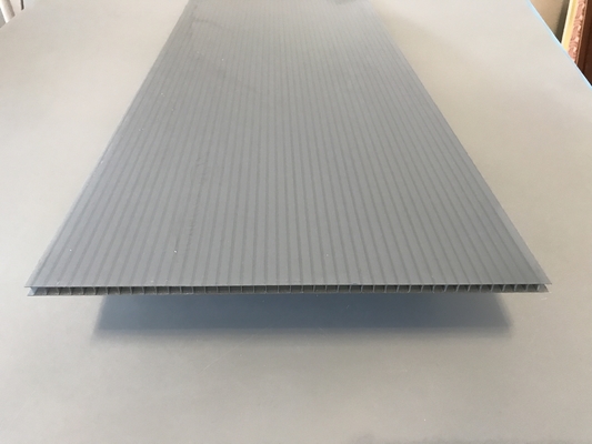 /Makrolon-Polycarbonaatblad, de Tweelingcomités van het Muurpolycarbonaat