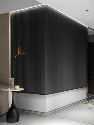 Gemakkelijk te installeren wpc wandpaneel buiten 2.9m/3m/Aangepaste lengte met klemmen en schroeven