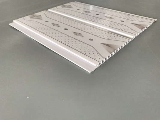 De geluiddichte Pvc-Comités van de Douchemuur, BadkamersBekledingspanelen snakken Beroepsleven